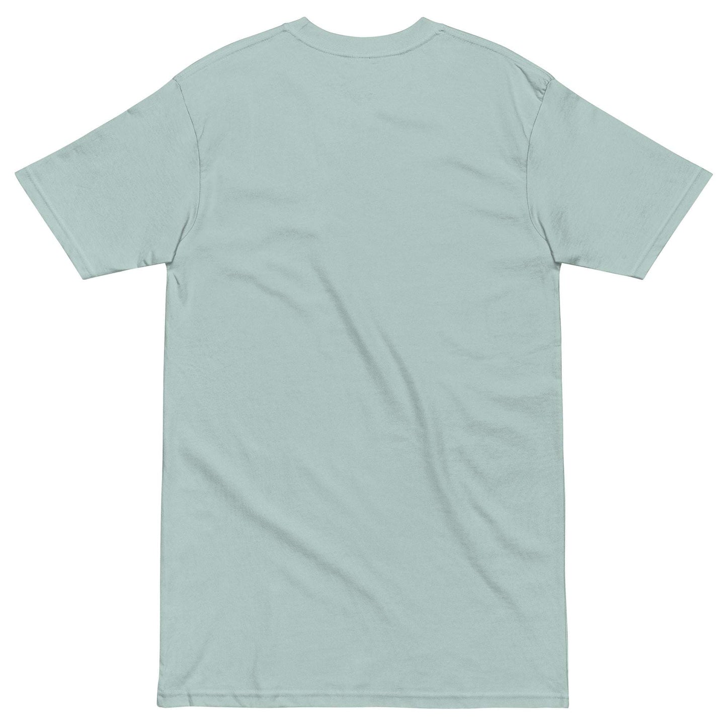 Back view of a light blue premium men's heavyweight inspirational t-shirt with short sleeves and crew neck