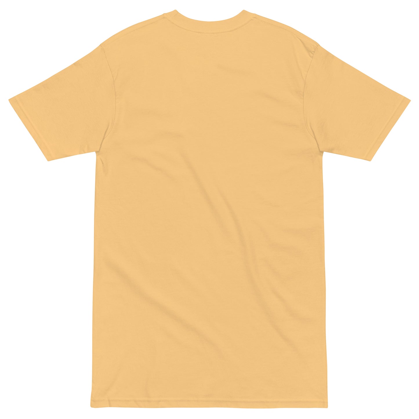 Back view of a premium men's heavyweight inspirational t-shirt in light tan color with short sleeves