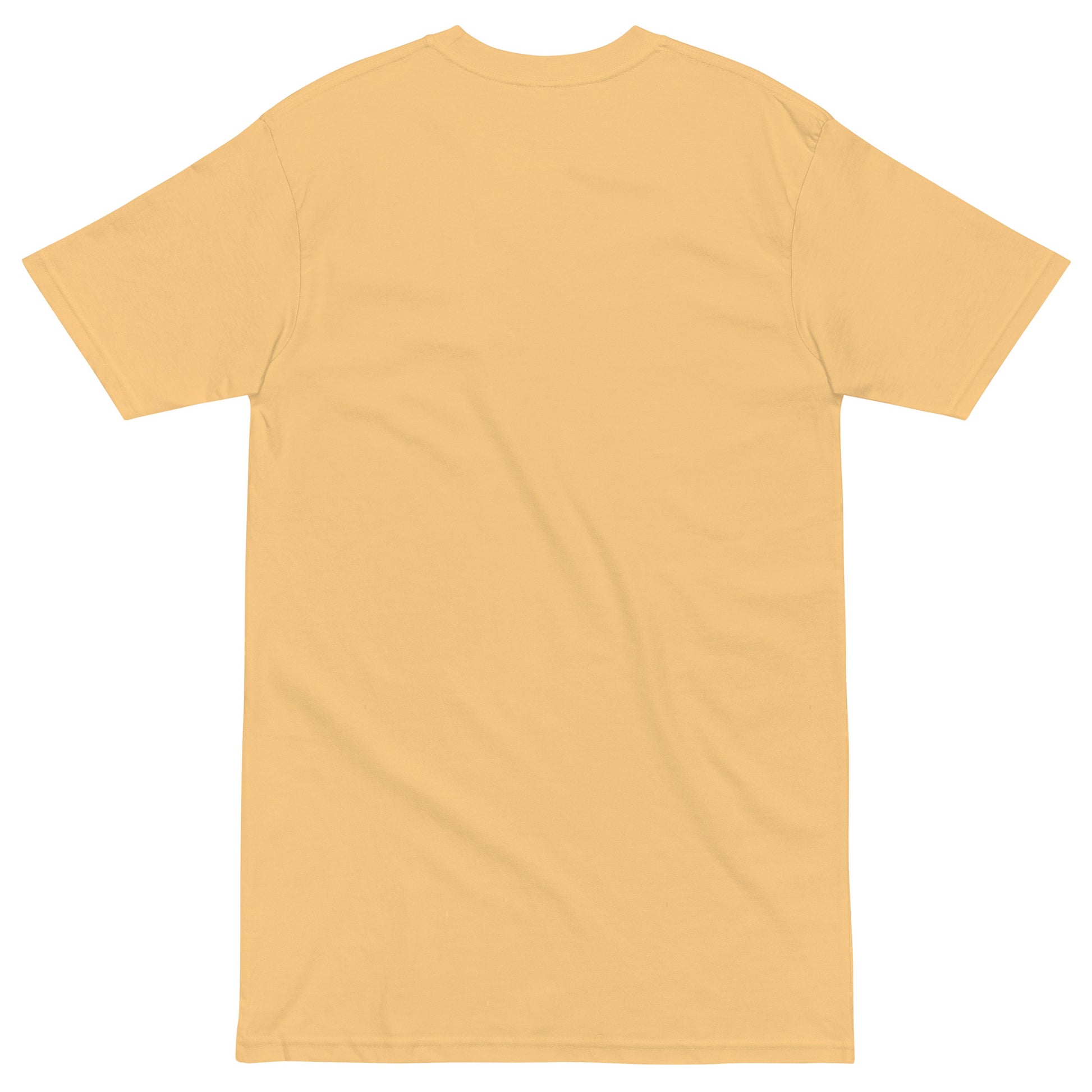 Back view of a premium men's heavyweight inspirational t-shirt in light tan color with short sleeves