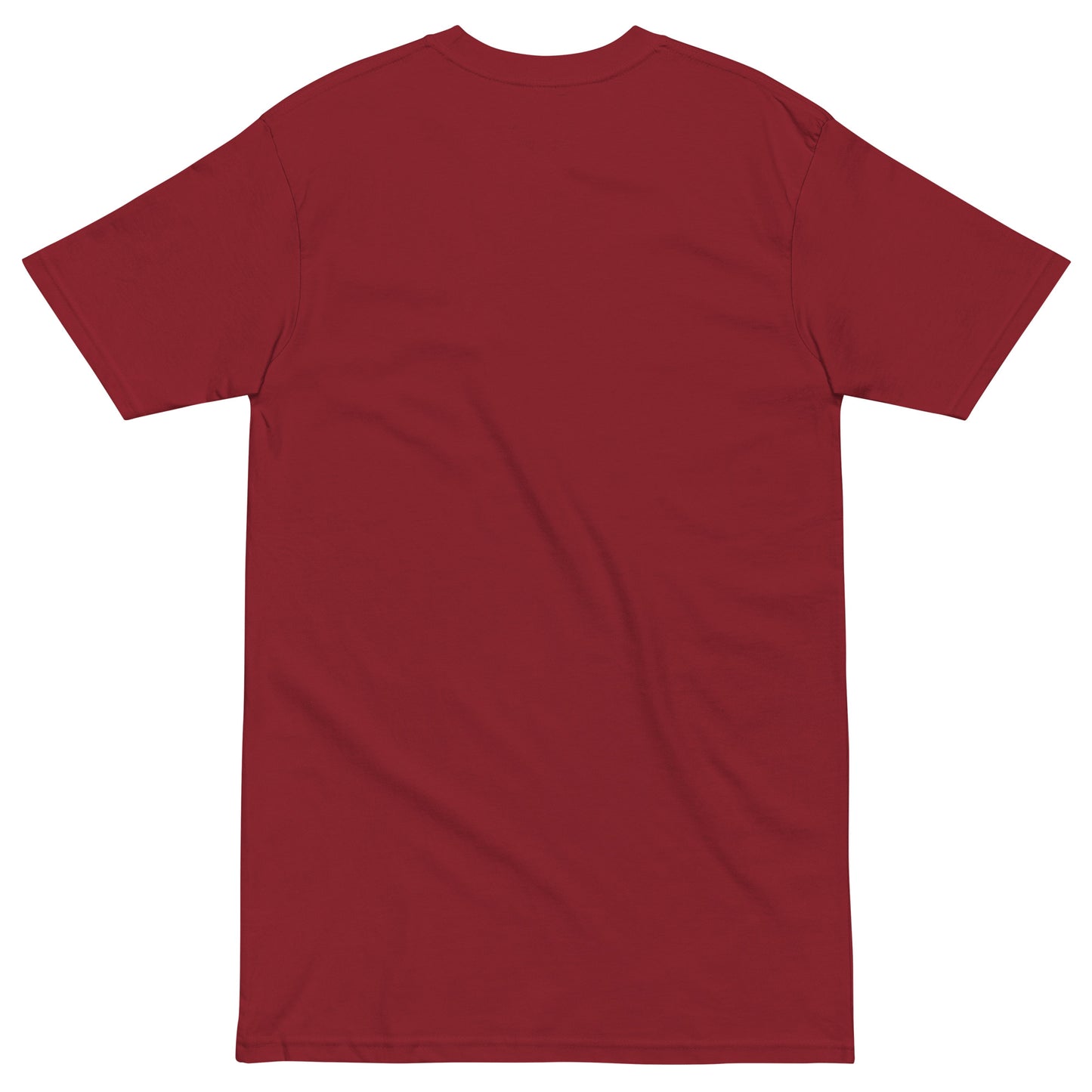 Back view of a plain red premium men's heavyweight inspirational t-shirt with short sleeves