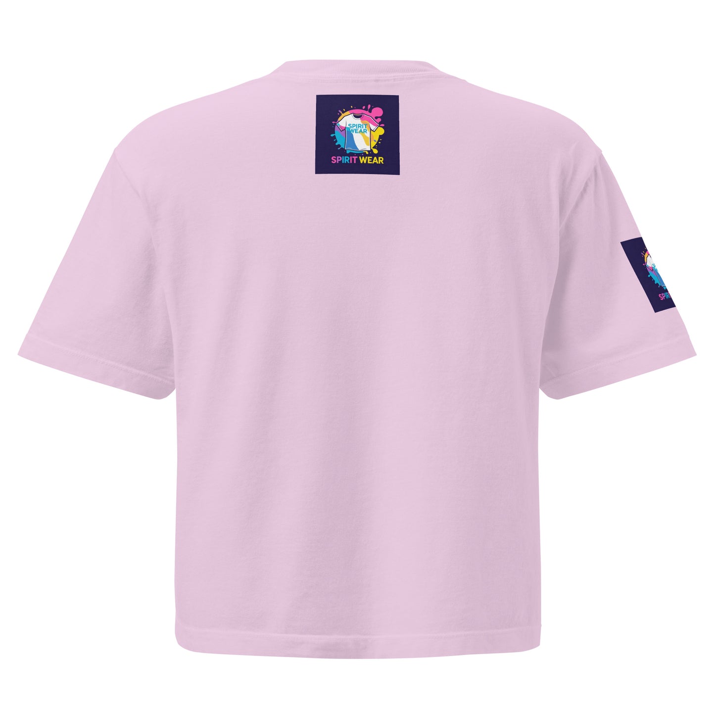 Back view of Spirit Wear women's Christian boxy tee in light pink with logo patches on back and sleeve